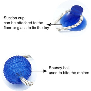 Interactive pet teeth cleaning toy with suction cup